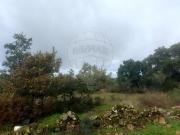 Terreno à venda em Penamacor