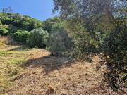 Terreno à venda em Alenquer