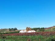 Terreno à venda em Alenquer