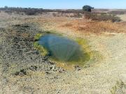 Terreno à venda em Almodôvar