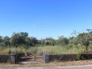 Terreno à venda em Alvaiázere