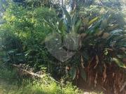Terreno à venda em Alpes Da Cantareira SP