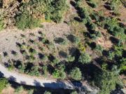 Terreno à venda em Alvaiázere