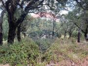 Terreno à venda em Alvaiázere