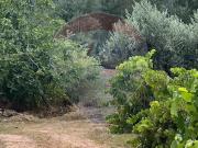 Terreno à venda em Alvaiázere