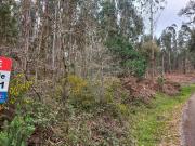 Terreno à venda em Alvaiázere
