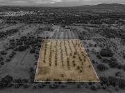 Terreno à venda em Alvito