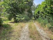 Terreno à venda em Amarante
