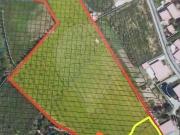 Terreno à venda em Amares