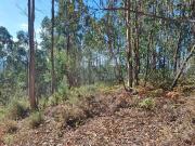 Terreno à venda em Amares