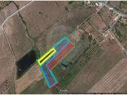 Terreno à venda em Amorosa