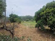 Terreno à venda em Anadia