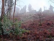 Terreno à venda em Vieira do Minho