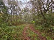 Terreno à venda em Ansião