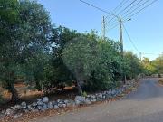 Terreno à venda em Ansião