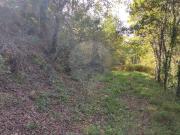 Terreno à venda em Arcos de Valdevez