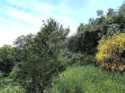 Terreno à venda em Arcos de Valdevez