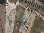 Terreno à venda em Arez