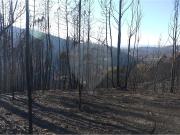 Terreno à venda em Arganil