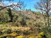 Terreno à venda em Armamar