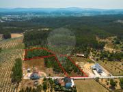 Terreno à venda em Assanha da Paz