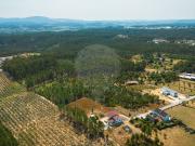 Terreno à venda em Assanha da Paz