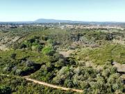 Terreno à venda em Azambuja