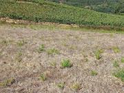 Terreno à venda em Chanca
