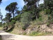 Terreno à venda em Baião