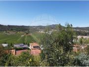 Terreno à venda em Barcelos