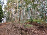 Terreno à venda em Barcelos