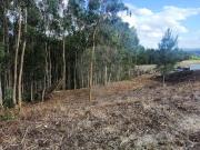 Terreno à venda em Boavista