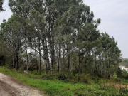 Terreno à venda em Bocal