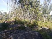 Terreno à venda em Guimarães