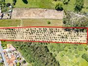 Terreno à venda em Oliveira do Bairro