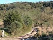 Terreno à venda em Cabrela