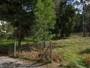 Terreno à venda em Aveiro