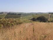 Terreno à venda em Cadaval