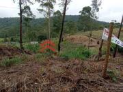 Terreno à venda em Caete Mailasqui