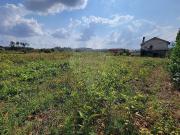 Terreno à venda em Tondela