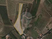 Terreno à venda em Caneira Velha Terreno à venda em Caneira Velha