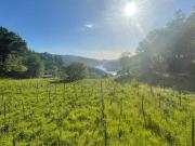 Terreno à venda em Vieira do Minho