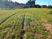 Terreno à venda em Cantanhede