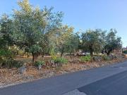 Terreno à venda em Casal António Braz