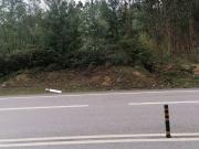 Terreno à venda em Zona Industrial do Canedo