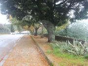 Terreno à venda em Castanheira de Pêra