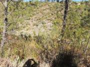 Terreno à venda em Castelo Branco