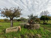 Terreno à venda em Castelo Branco