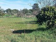 Terreno à venda em Castelo Branco