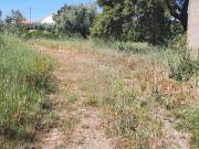 Terreno à venda em Castelo Branco